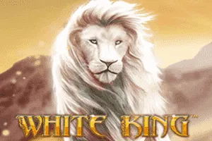 Playtech : White King - XTRAPLAY88