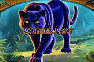 Playtech : Panther Pays - XTRAPLAY88